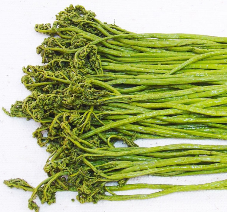 Папоротник соленый весовой, 100 гр