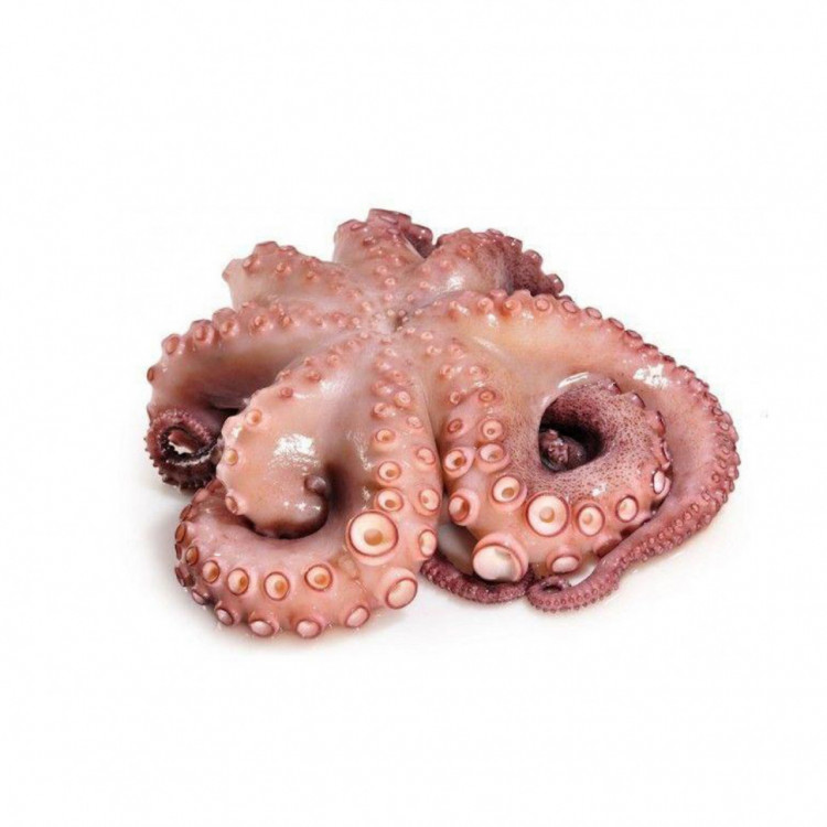 Осьминоги молодые 40/60, 1000 гр