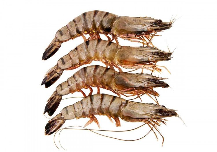 Креветки Тигровые с головой в панцире с/м 16/20,1 кг