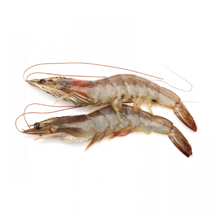 Креветки c головой в панцире с/м 21/25, блок 2 кг Индия