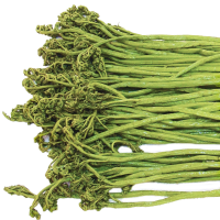 Папоротник соленый весовой, 300 гр