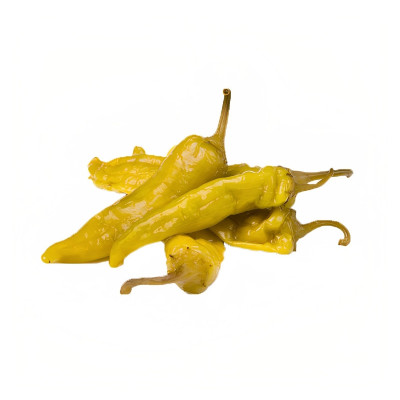 Giana Mitchell, porno aktrisa