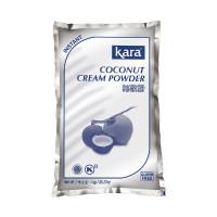 Кокосовые сухие сливки HoReCa (пакет) 1 кг